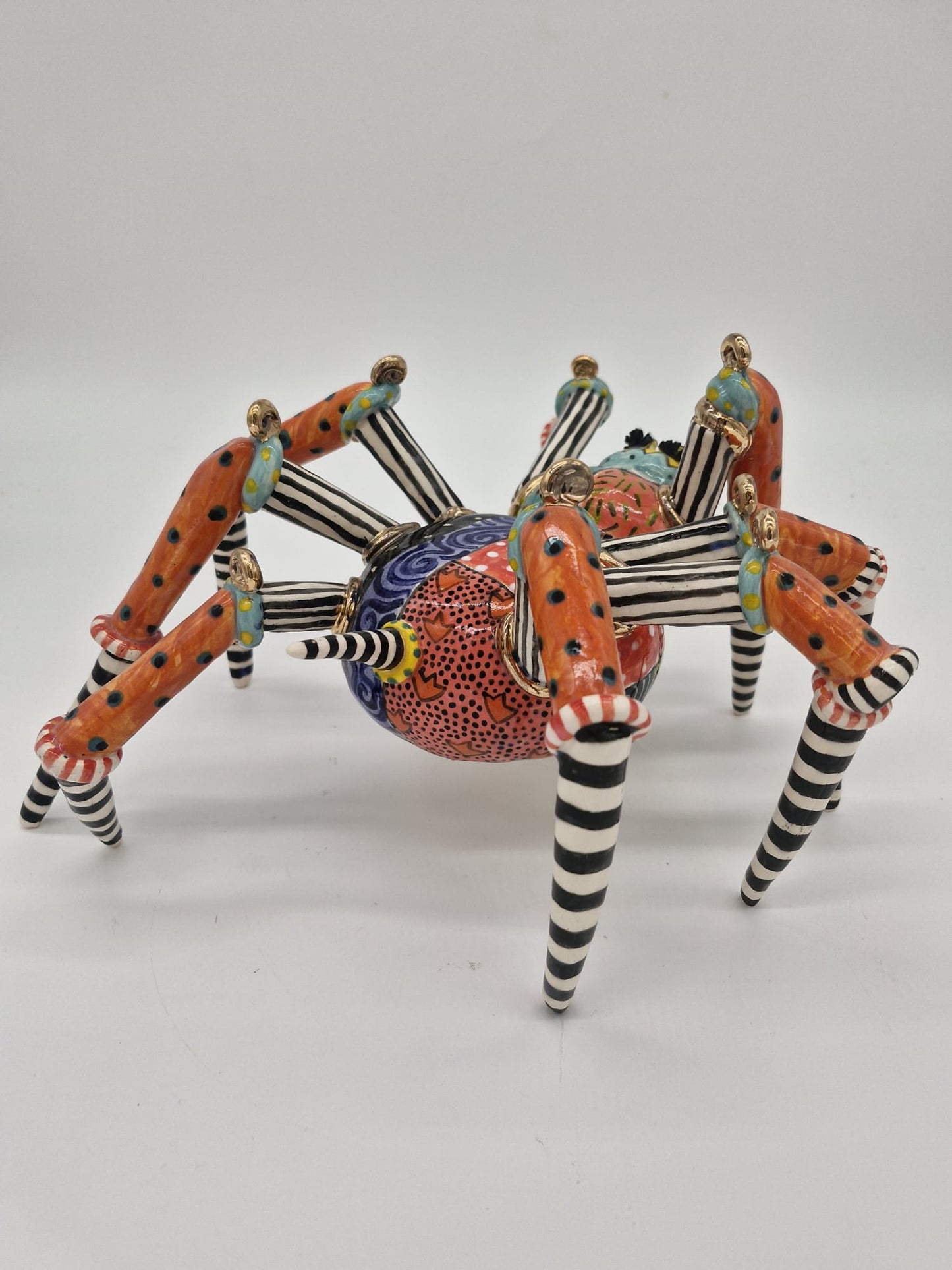 Webster Spiderling