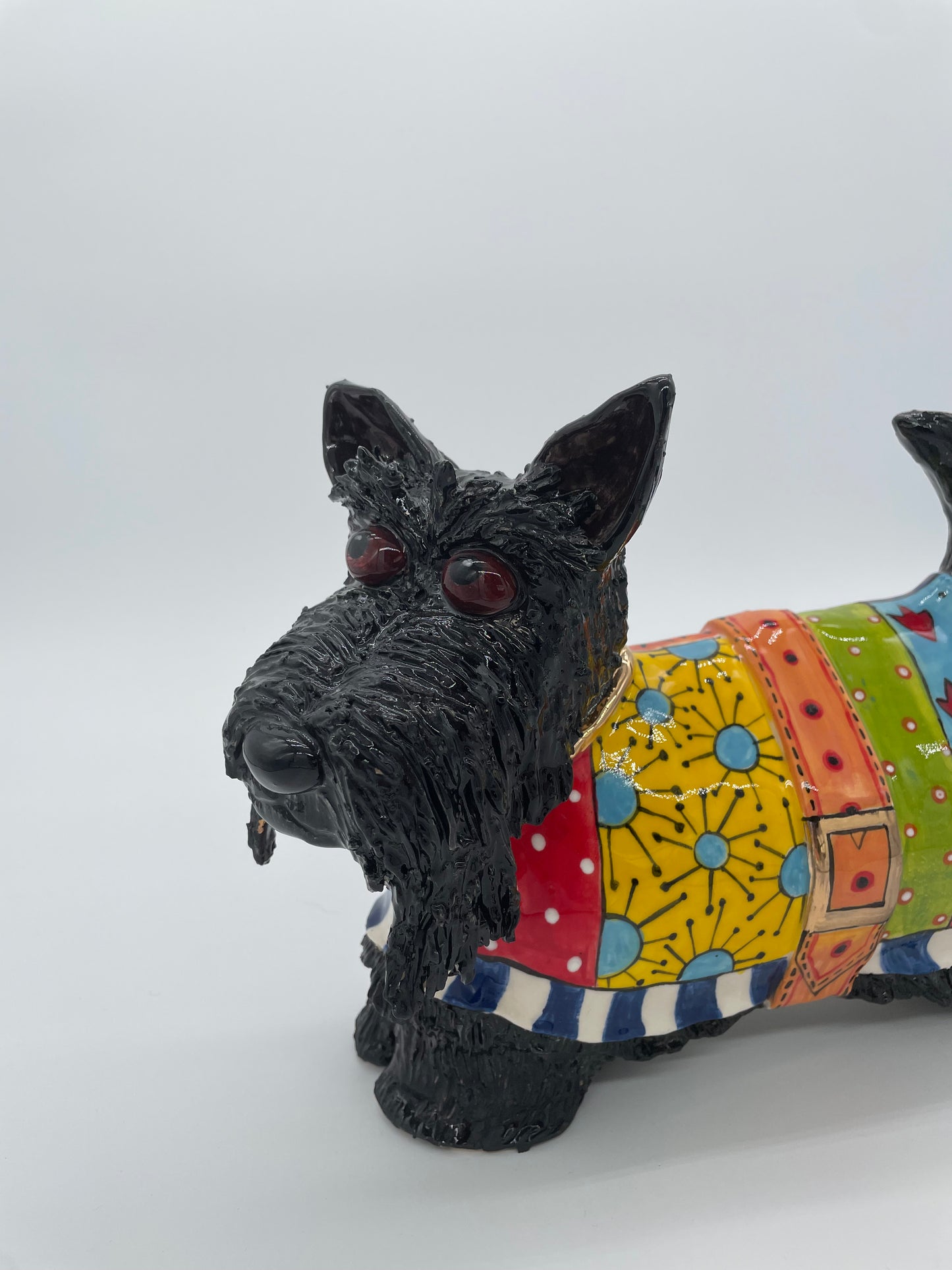 Benson the Scottish Terrier